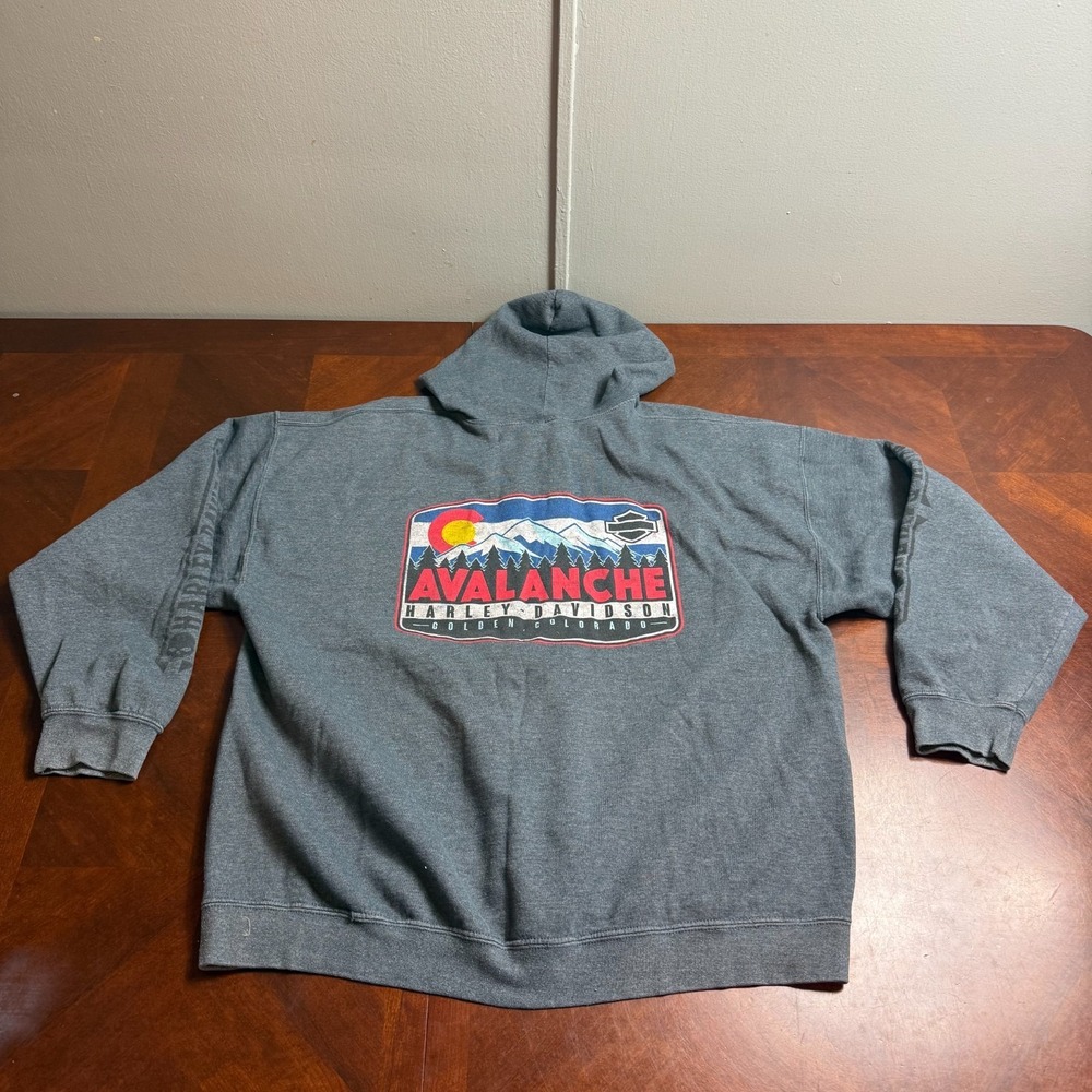 Harley‎ Davidson Avalanche Colorado Zip Hoodie Gray Skull Graphic  2XL Y2K FLAWS